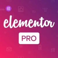 Elementor PRO WordPress Page Builder Plugin